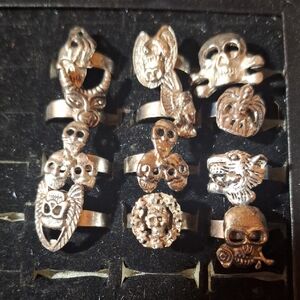 Silver Skull and Animal Rings Set 12 rings